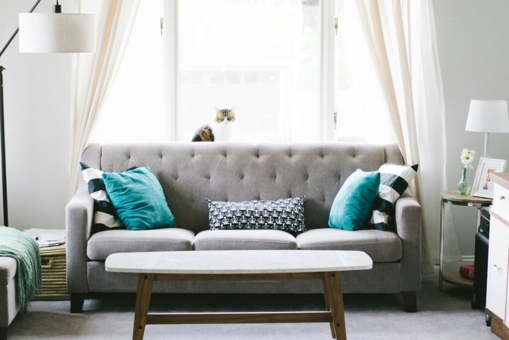 Living room sofas collection
