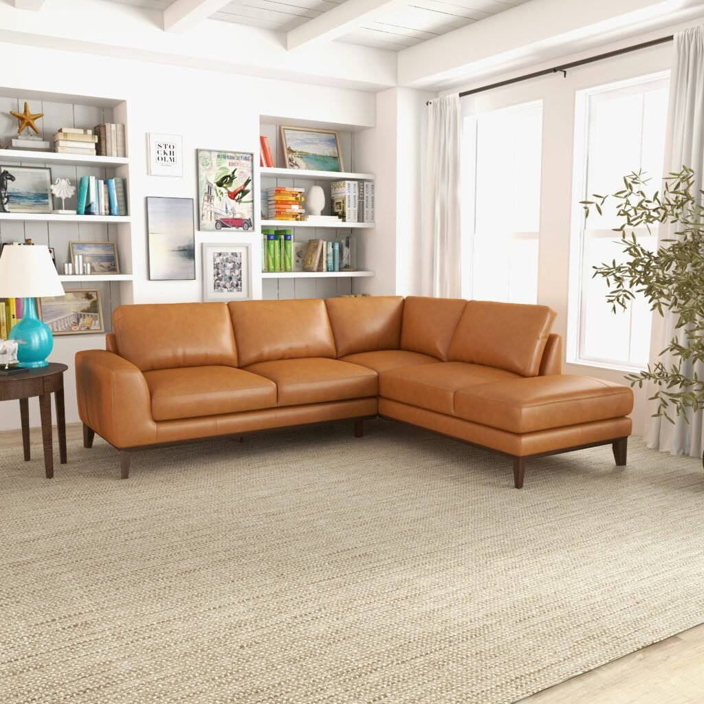 Living room furniture showcase