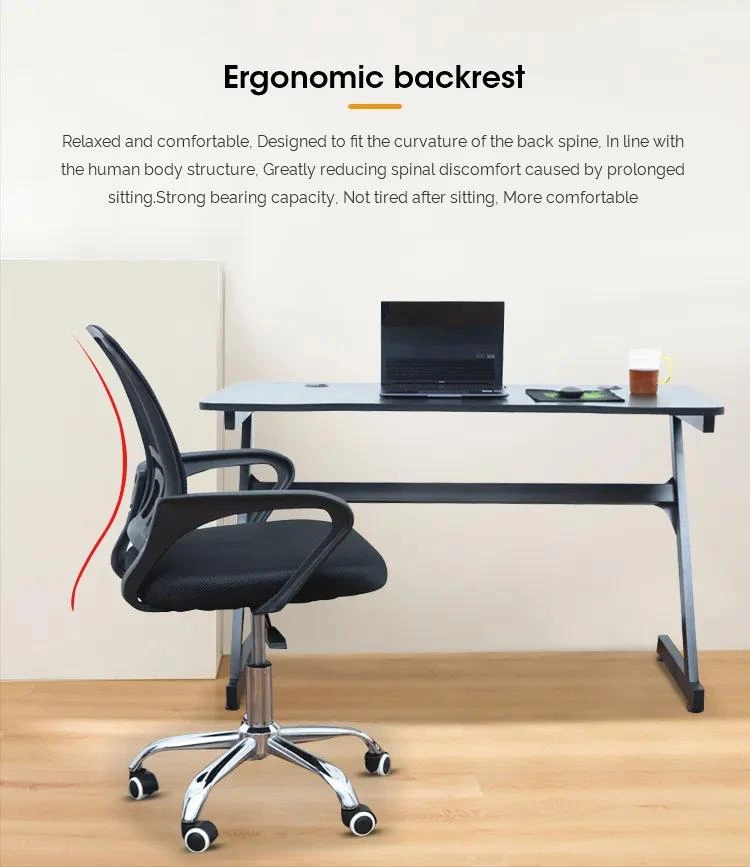 ergonomic chair features lumbar support office 2026 usa